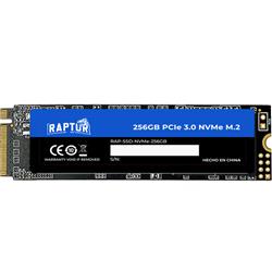 SSD 256 GB M.2 2280 RAPTOR LEGACY NVME